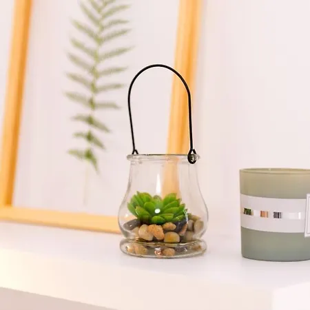 Apartamento Auditorio Con Patio